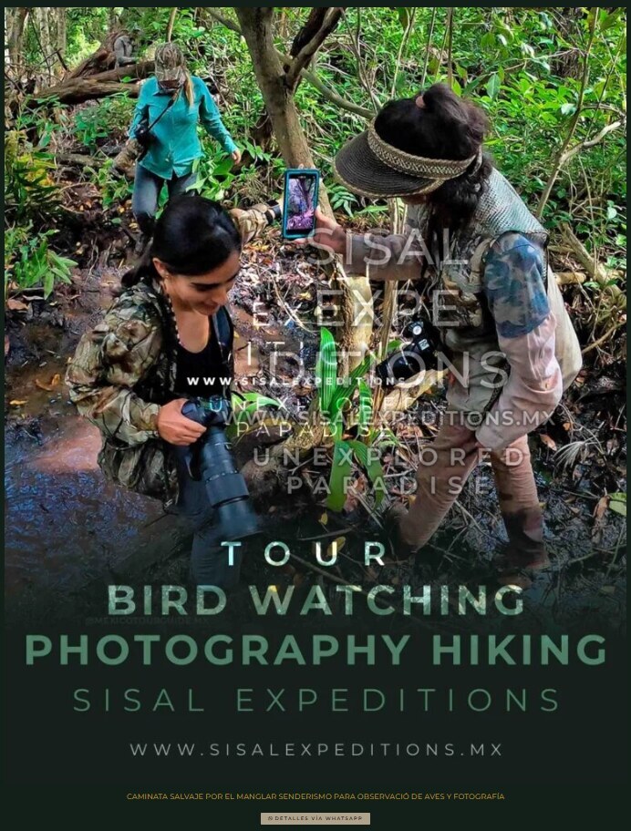 Bird Watching — Sisal Expeditions