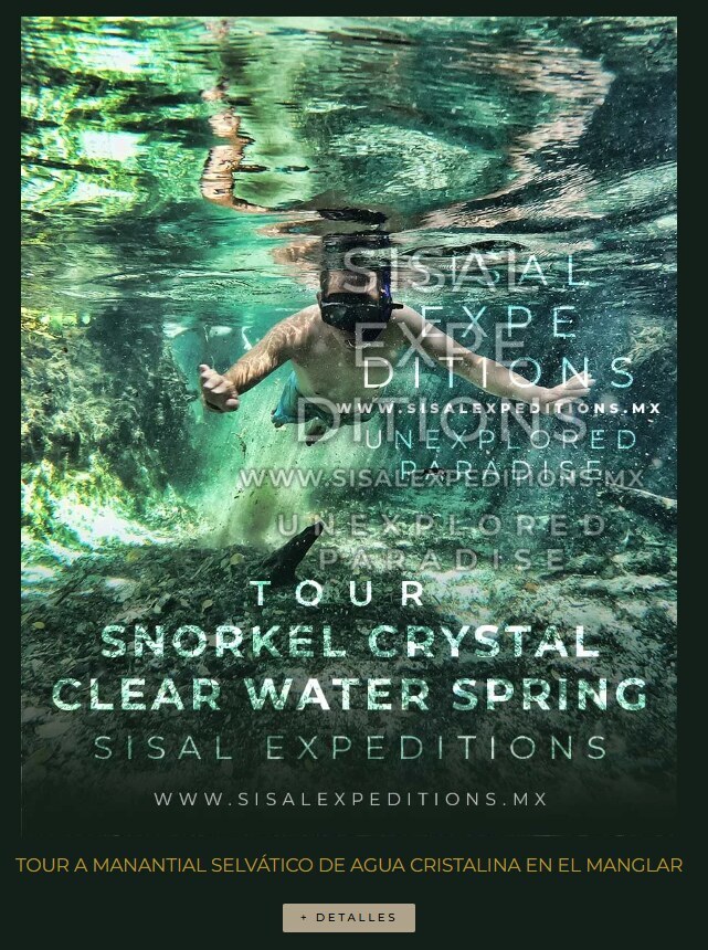 Manantial Ojo de Agua — Snorkel en Sisal Expeditions