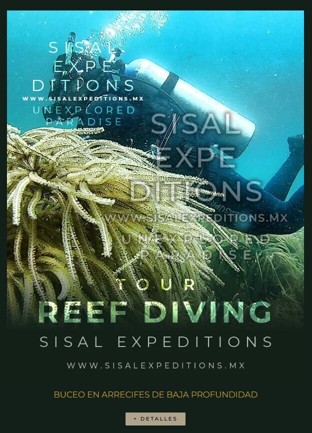 Buceo Recreativo
