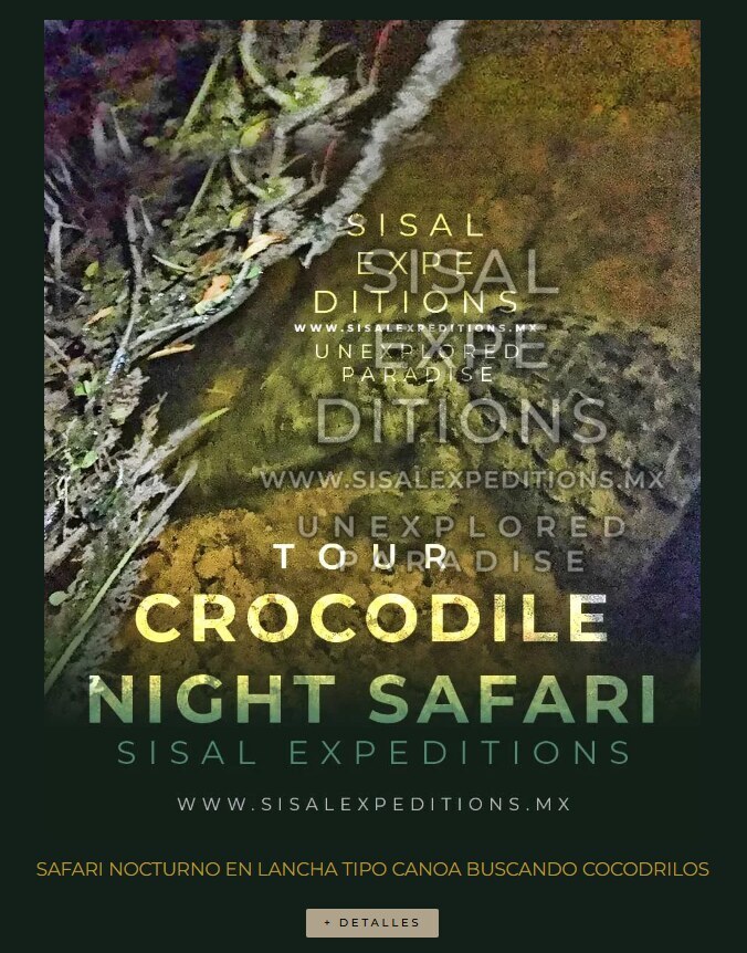 Safari Nocturno Cocodrilos — Sisal Expeditions