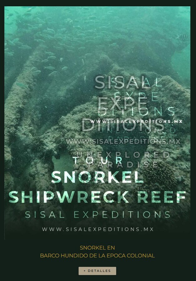 Snorkel en Barco Hundido — Sisal Expeditions