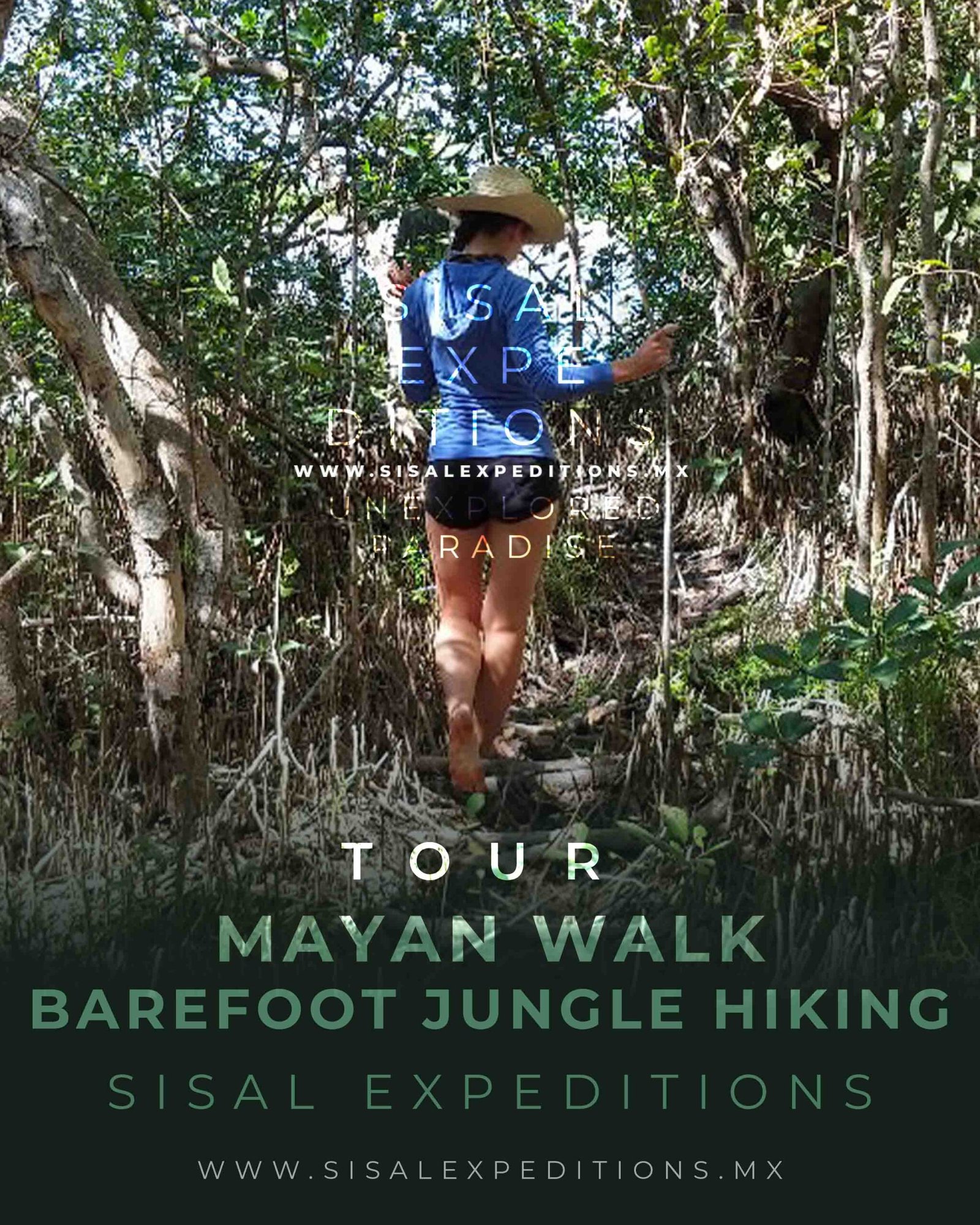 Mayan Walk Descalzo por la Selva — Sisal Expeditions