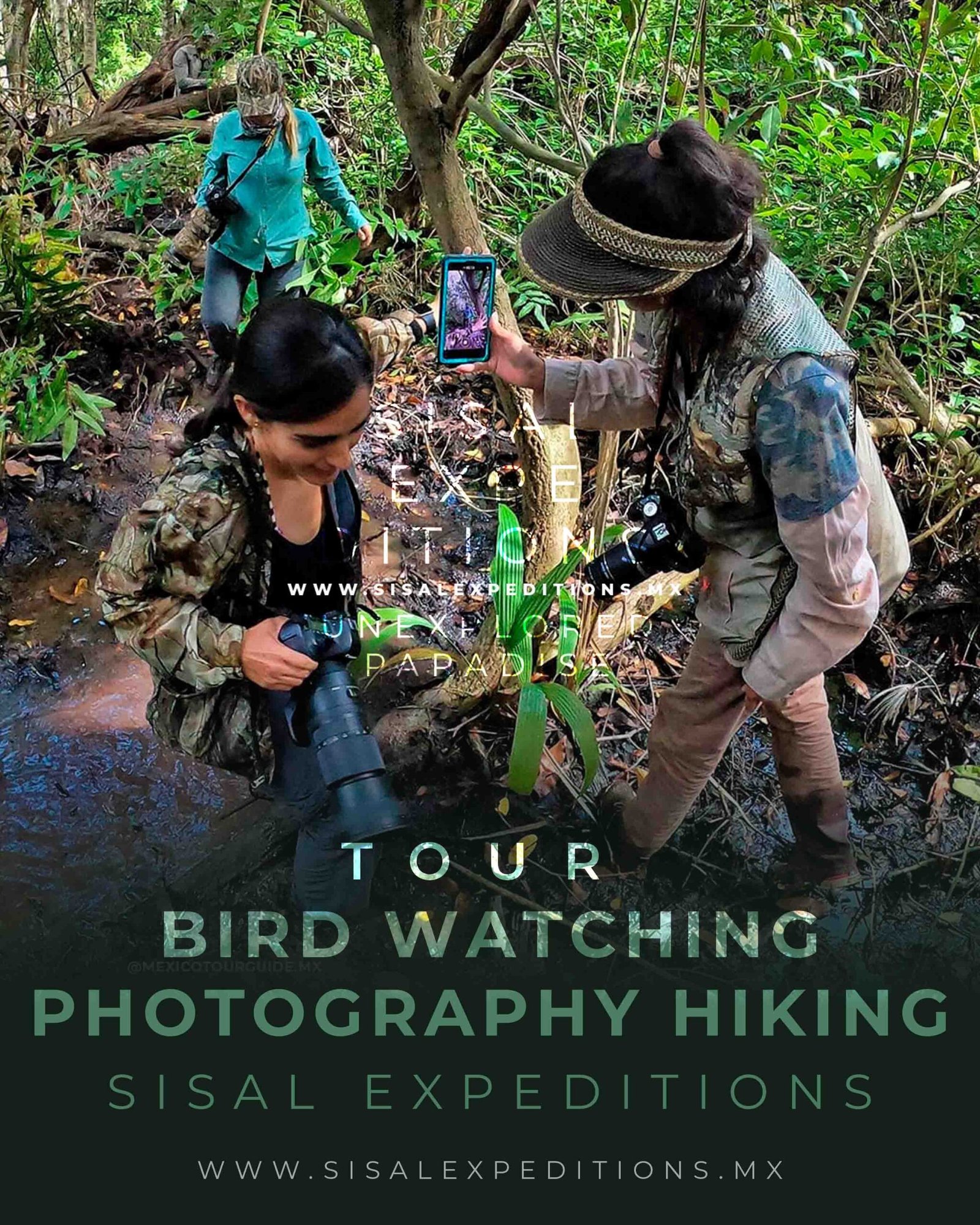 Caminata Salvaje por el Manglar — Sisal Expeditions