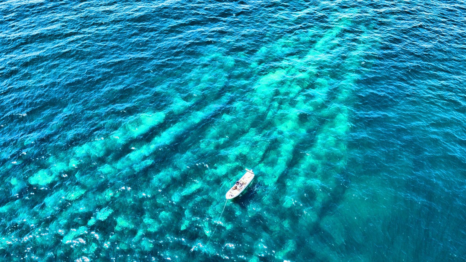 Sisal Dive Center