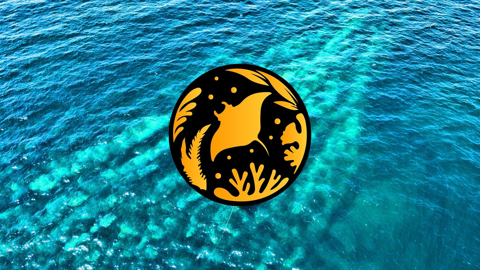 Sisal Dive Center