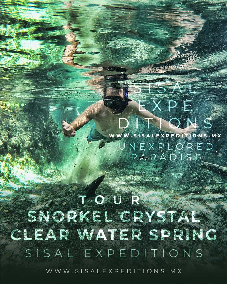 Snorkel aguas cristalinas