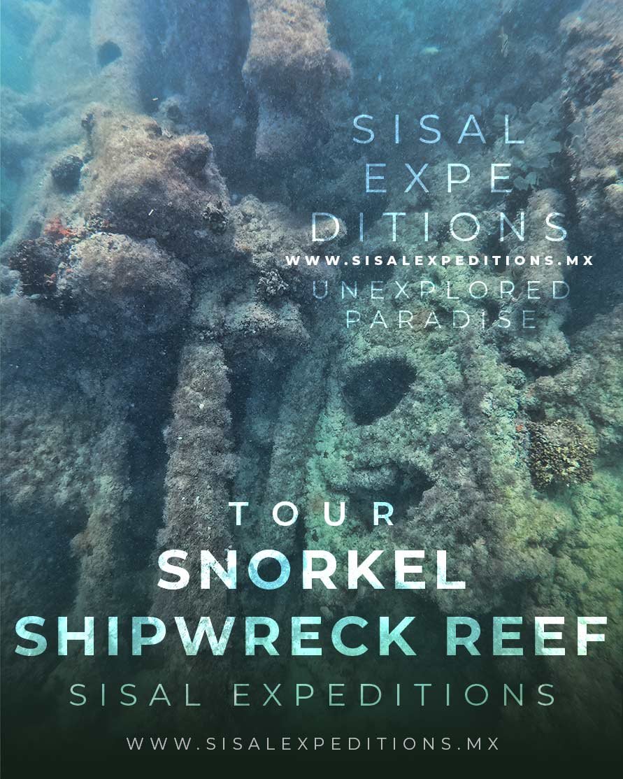 Snorkel naufragio
