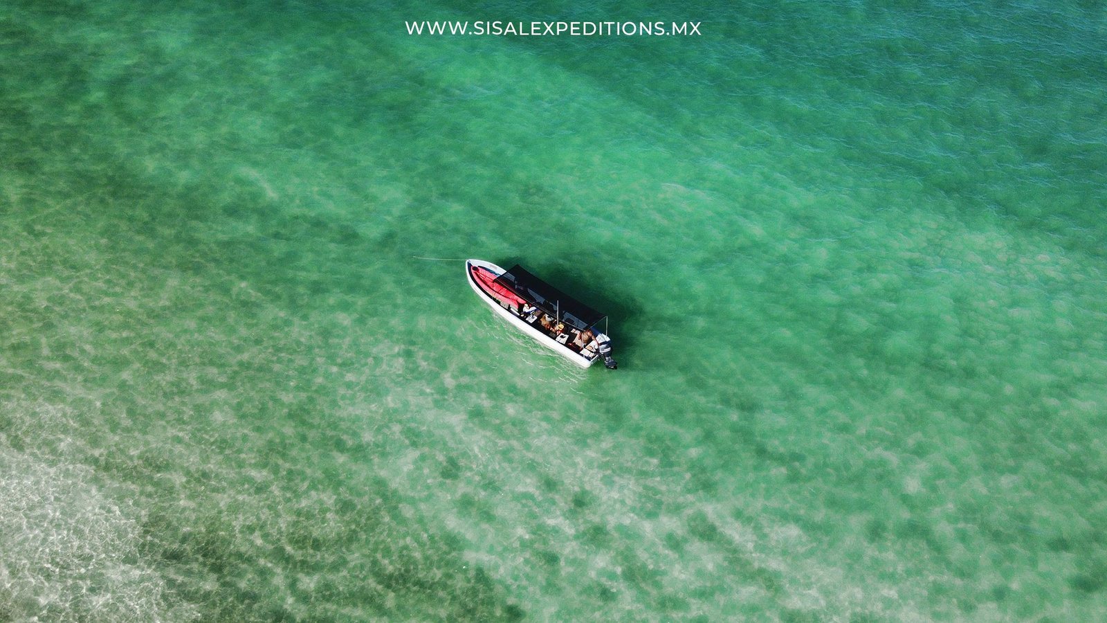 Buceo Recreativo en Arrecifes